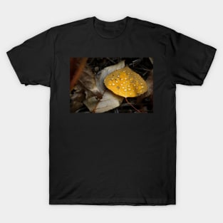 Aspen Fall Leaf T-Shirt